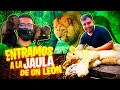 🦁ENTRAMOS A LA JAULA DE UN LEON_ ¿QUE PASO?😱