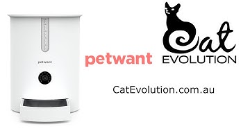 Petwant F3 Wifi Auto Feeder