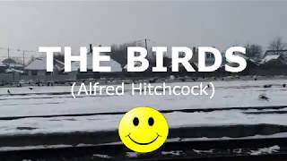 The Birds