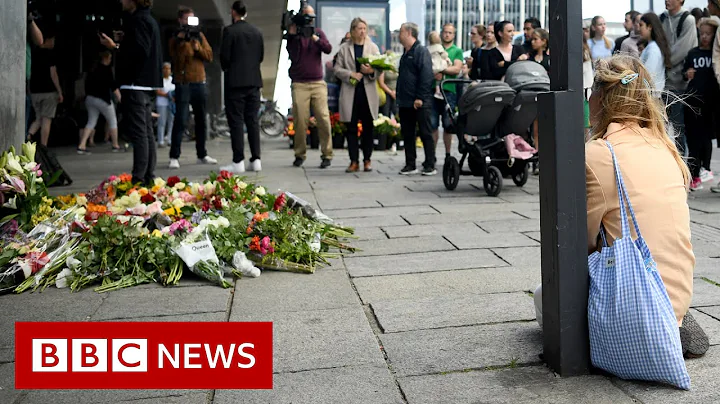 Copenhagen shopping mall shooting leaves three dead - BBC News - DayDayNews