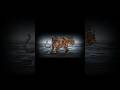 3 BESTIAS BIBLICAS ¿CUAL ELIGES?
