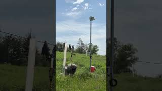 California Chestnuts with Soil Moisture Monitoring