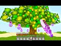 Minecraft UHC but XP grows on trees..