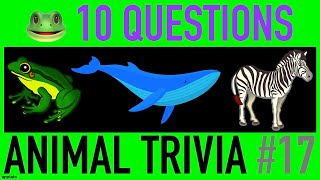 ANIMAL TRIVIA QUIZ #17 - 10 Animals Knowledge Trivia Questions and Answers Pub Quiz