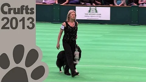 Obedience Dog Championships - Day 3 - Crufts 2013 ...