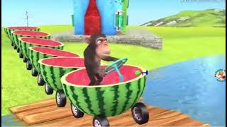 Ferrari̇ Karpuz Trene Bi̇nen Maymun