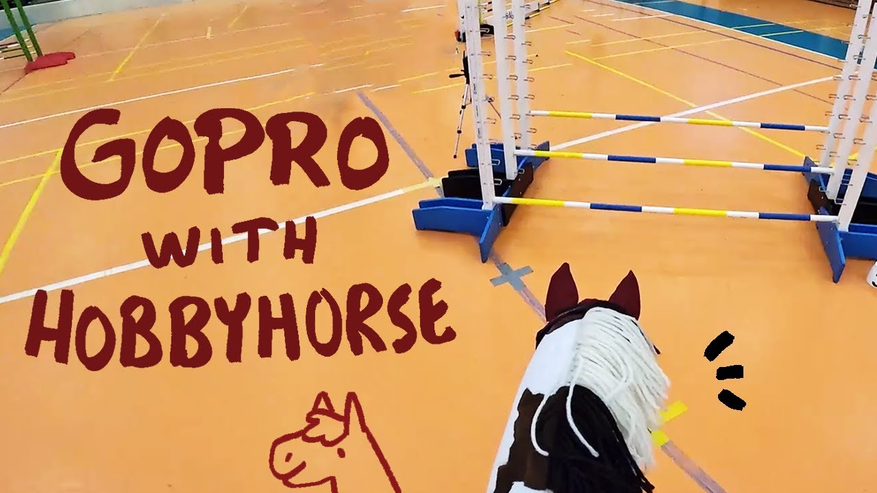 Is Hobby Horse a Real Sport: Surprising Facts You Must Know