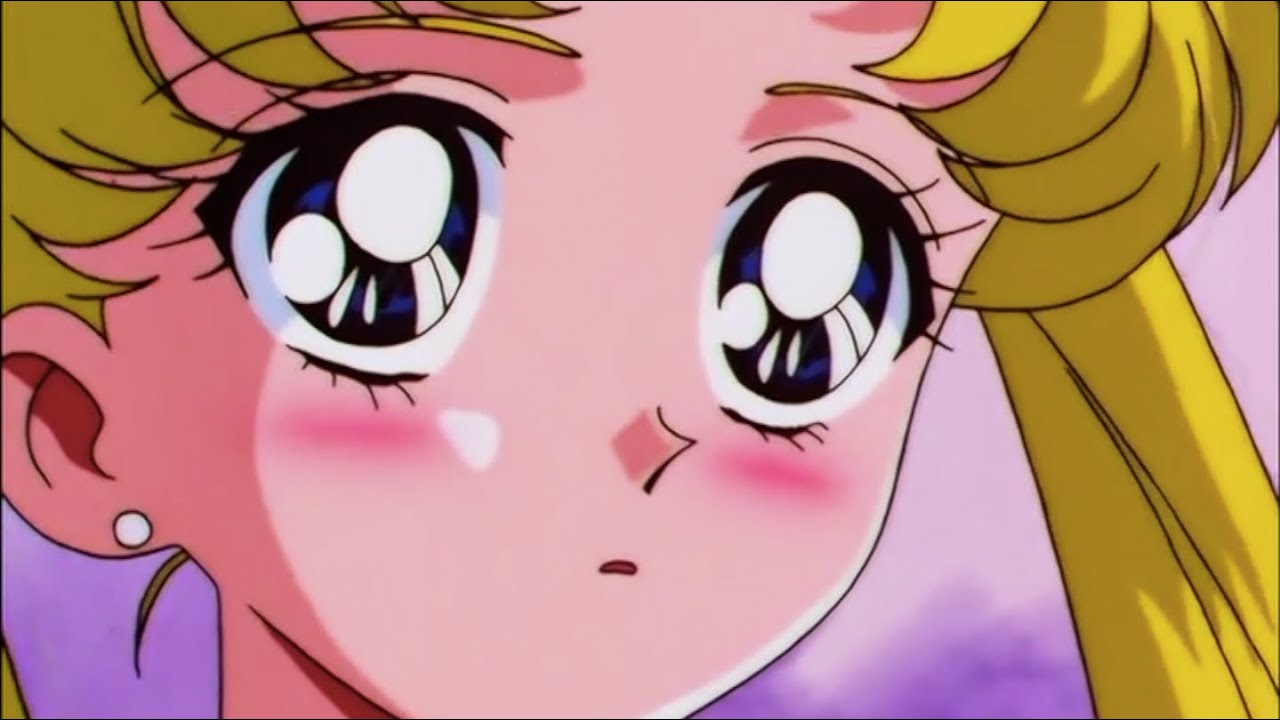 Sailor Moon The Truth About Cats And Dogs Scene Mashup You re An sailor-moon-the-truth-about-cats-and-dogs-scene-mashup-you-re-an