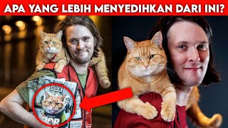 fakta kucing bob si kucing penyelamat | a street cat named bob