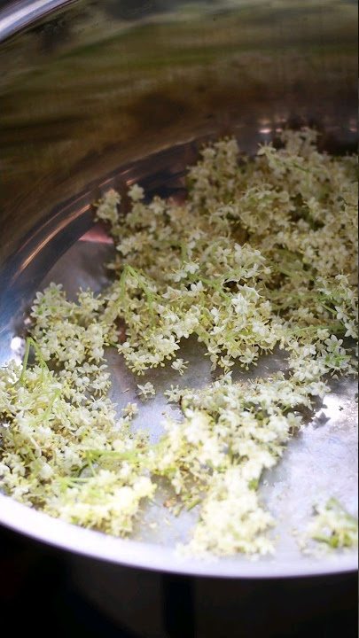 How to Make Elderflower Cordial