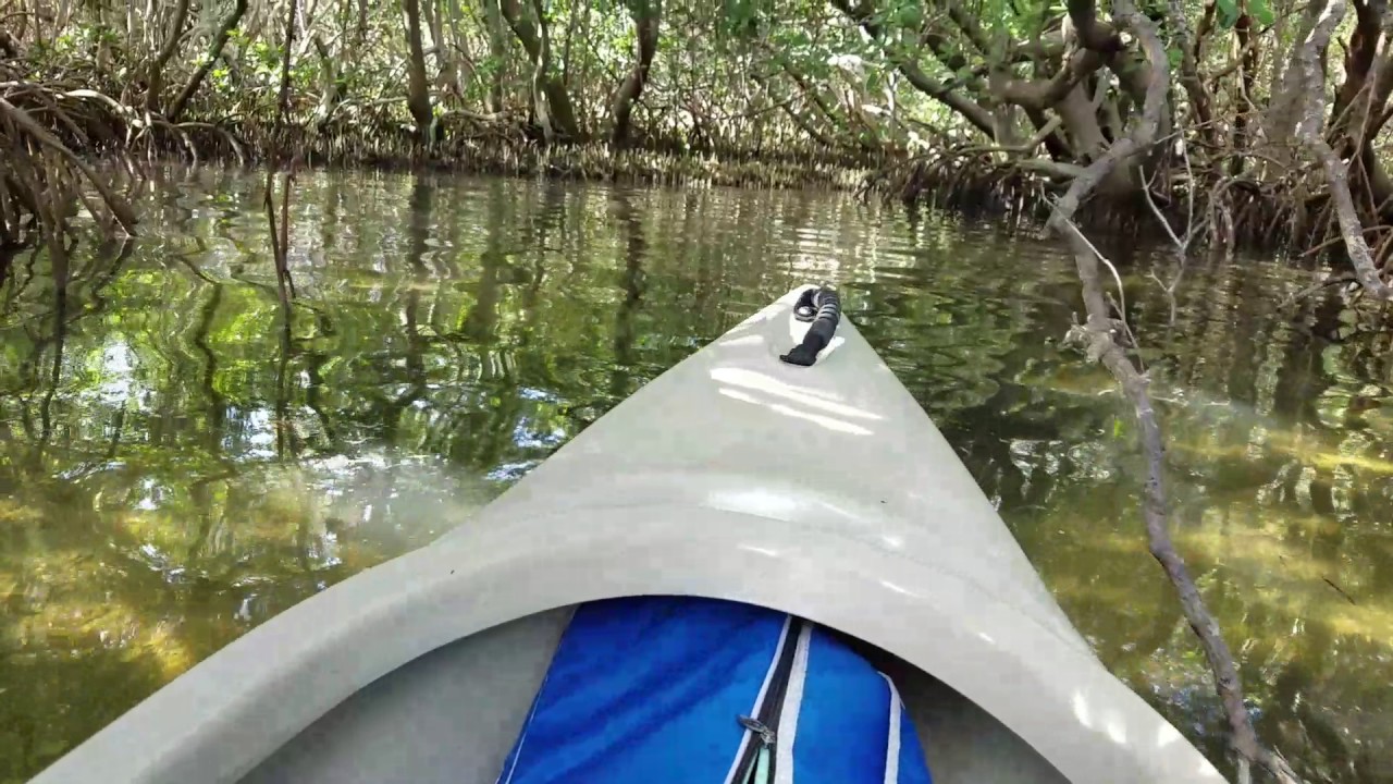 Kayaking in Ft Desoto 2 YouTube
