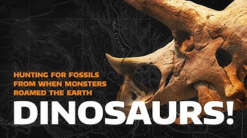 How to Dig Up and Preserve a Dinosaur