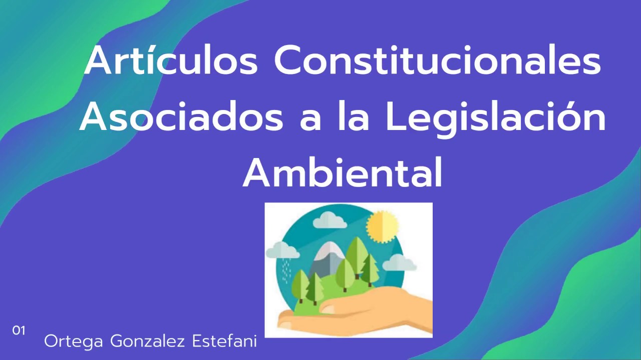 Artículos constitucionales ambientales - YouTube