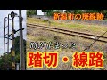 【廃線】住宅街に残る踏切と線路
