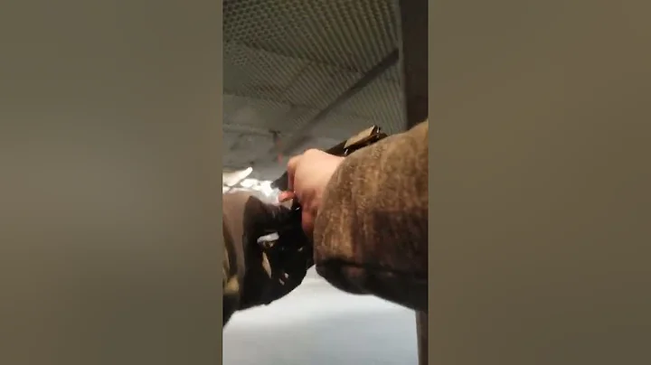 Kaido's Annual AD 2022 Lawenforcement Officer Safety Act  (LEOSA HR218) Qualification.