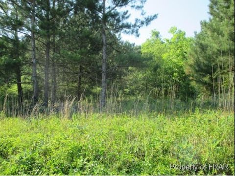 7482 Overhills Road Rd, Spring Lake, NC home video tour