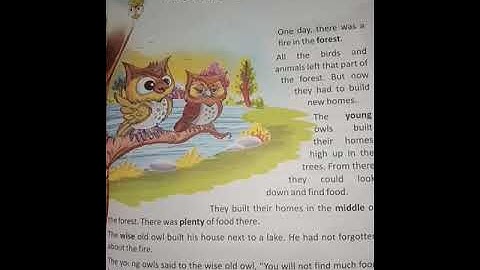 The Wise Old Owl Part 1