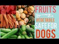 FRUITS AND VEGETABLE YOU CAN GIVE YOUR DOG