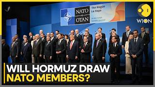 Will US Allies Answer Trump's Call on Reopening Hormuz | WION News