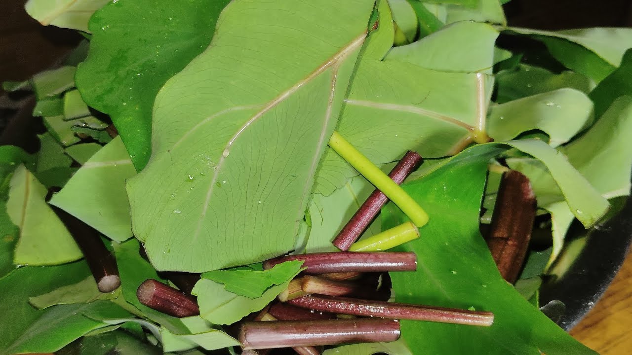 এইভাবে কচু পাতার ভর্তা বানালে একথালা ভাত নিমিষেই শেষ হয়ে যাবে / Kachu Patar Bhorta /Kachu Shak 