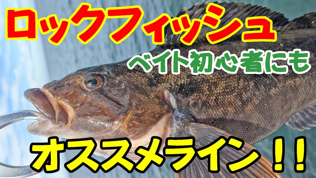 ロックフィッシュ ベイト初心者にも オススメライン Youtube ロックフィッシュ ベイト初心者にも オススメライン Youtube
