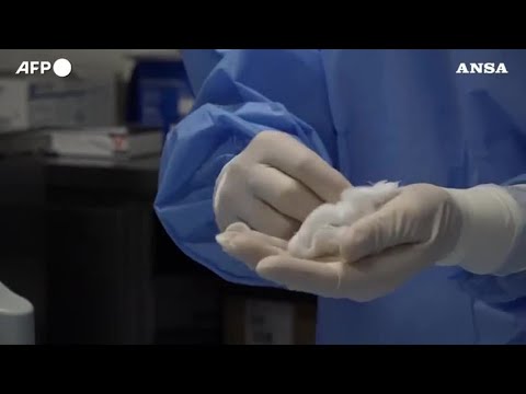 YouTube video