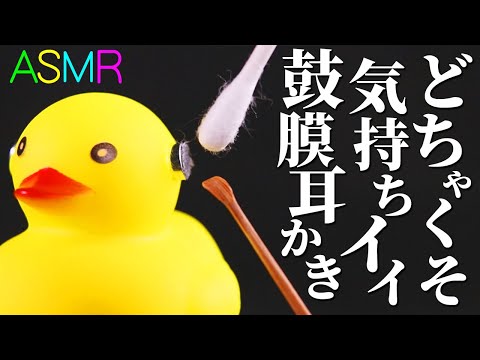 【ASMR】可愛いけれど凶暴な音♡どちゃくそ気持ちイイ鼓膜耳かき高音圧♪アヒルさんに音蜜お手製マイクを装着し・竹耳かき・綿棒・ピンセット・梵天・シリコン歯ブラシ・みっしり筆・指耳かきで耳掃除【音好き】