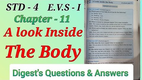 Std. 4 Evs. 1 Chapter - 11 A Look Inside the Body Digest