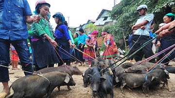 Chợ Xã Xín Mần Hà Giang Phiên Chợ Miền Núi Mộc Mạc Bình Yên Bán Nhiều Đặc Sản | Tôi Người Vùng Cao