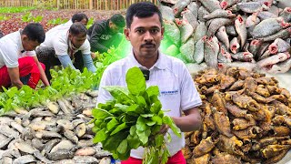 পালং শাক রান্না করলাম📍Milton’s Kitchen || ৮৪ তম পর্ব 👤 Milton Samadder  🏠 Child \u0026 Old Age Care.