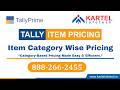 Tally Prime | Party-wise Item Pricing | Auto Price Category System in Tally Prime TDL | (A/B/C/D/E)