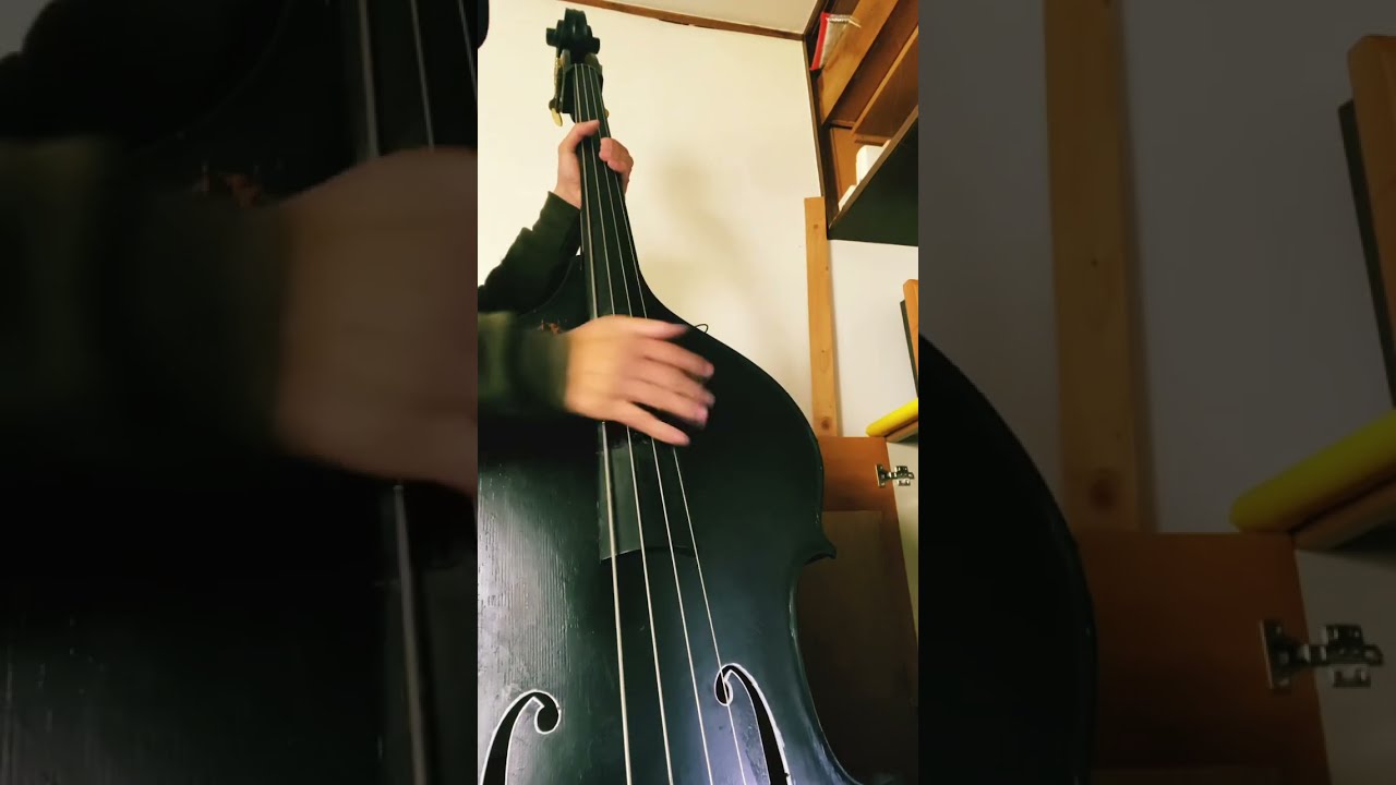 EVAH PIRAZZI SLAP ウッドベース　コントラバス Chaki F-25 表板は単板 横板・裏板は合板。 弦長:104,5cm