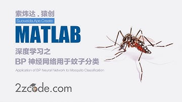 深度学习之基于Matlab BP神经网络用于蚊子分类
