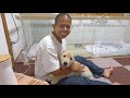 子犬を前に赤ちゃん言葉が止まらないおじさん達ww