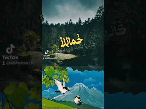 أسامة الواعظ شوقي عصفورتان في الحجاز 