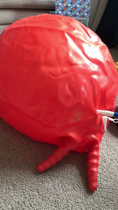 Blowing up bouncy hoppers #roadto700