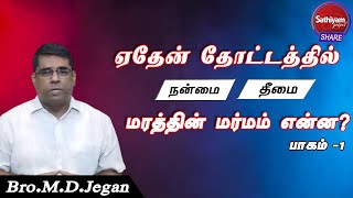 ஏதேன் தோட்டத்தில் நன்மை தீமை மரத்தின் மர்மம் என்ன ? - பாகம் 1 || BRO MD JEGAN