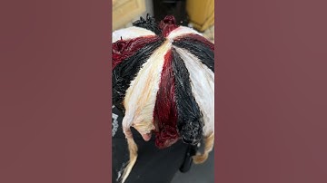 Calico hair but make it vibrant! 😻 #calico #hairstyles #hairinspo