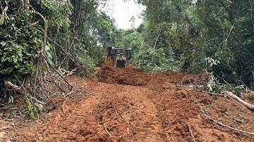 Tidy Up the Road with the Bulldozer D6R XL Perfect Results!