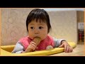 ぽるぽるパパママと娘の「犬見てアイス食べる」