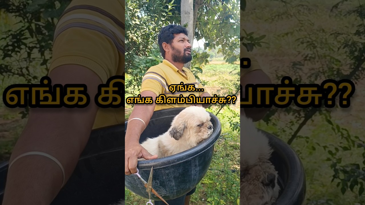 any pet lovers here?? 🐶🐱🥰 