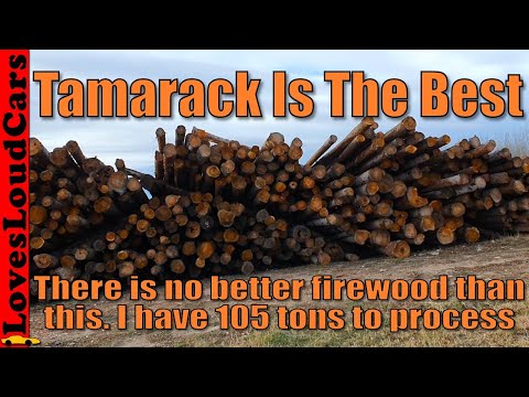 105 tons of Tamarack to process into firewood
