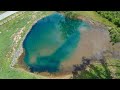 What's Happening to the FARM POND!