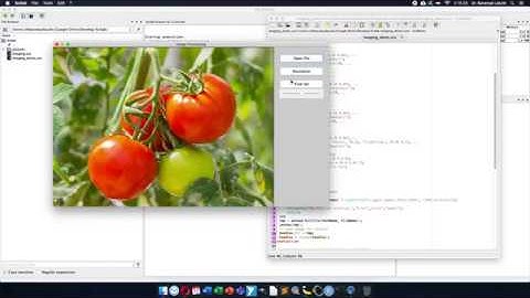 [EN] Scilab image processing: segmentation using manual threshold