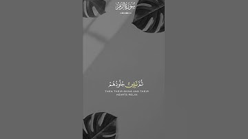 سورة الزمر للقارئ ماهر المعيقلي 🤍 #ماهر_المعيقلي #القارئ #سورة_الزمر #الزمر #عمار_الصريدي #اكسبلور