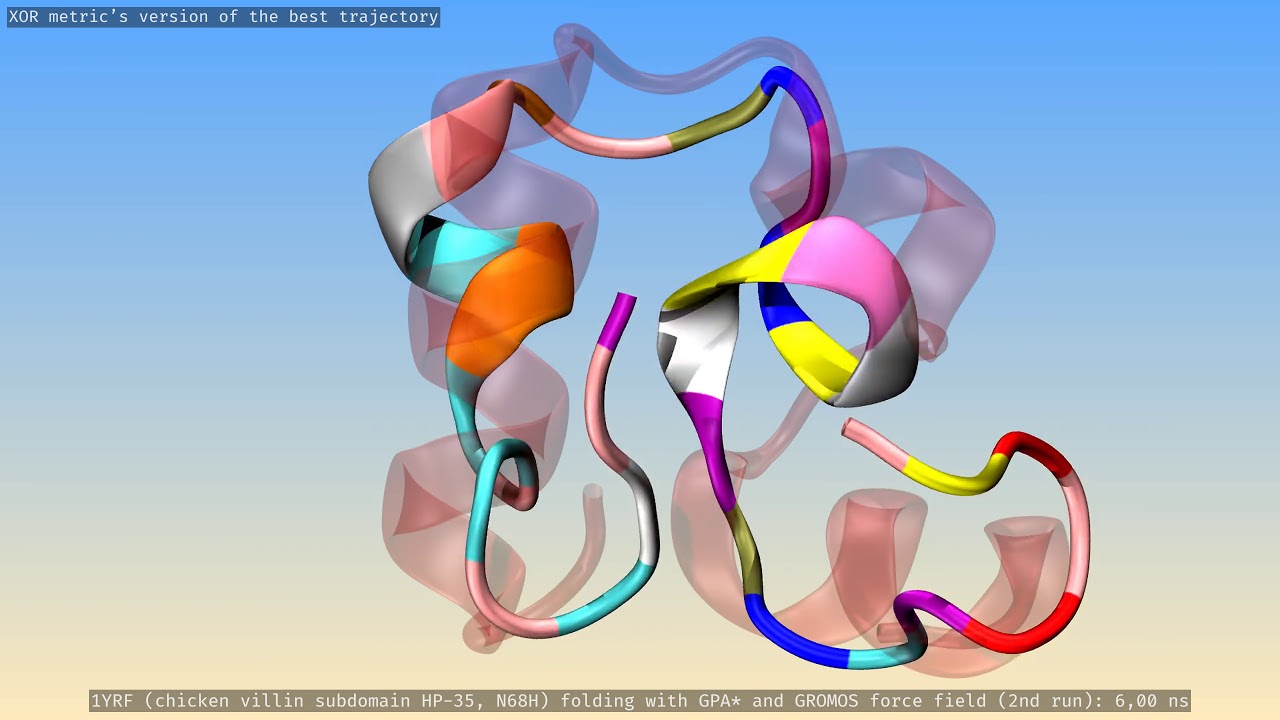 Villin (1YRF) folding with GPA* and GROMOS ff (1.018 Å). Run 2. XOR's view.