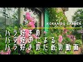 【ガーデニング】昨年訪問した個人庭のバラだけを集めたら、夏が恋しくなる動画ができました。