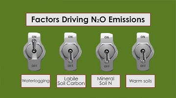 Long term nitrous oxide and N fertiliser use efficiency research findings