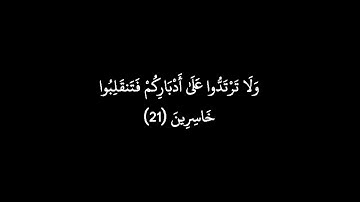 كروما شاشة سوداء قرآن كريم🍂سوره المائده 🍂الشيخ عز الدين العوامي 🍂