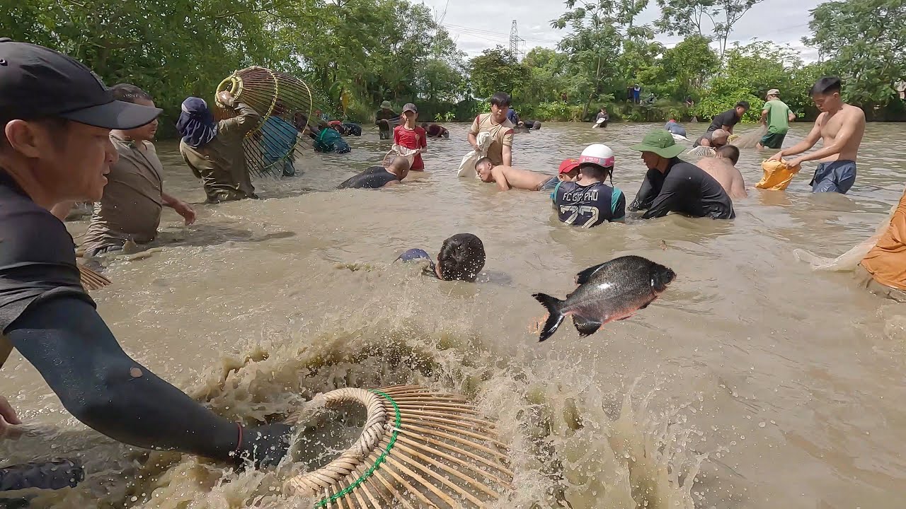 Nơm cá quê úp một nhát 3 - 4 con